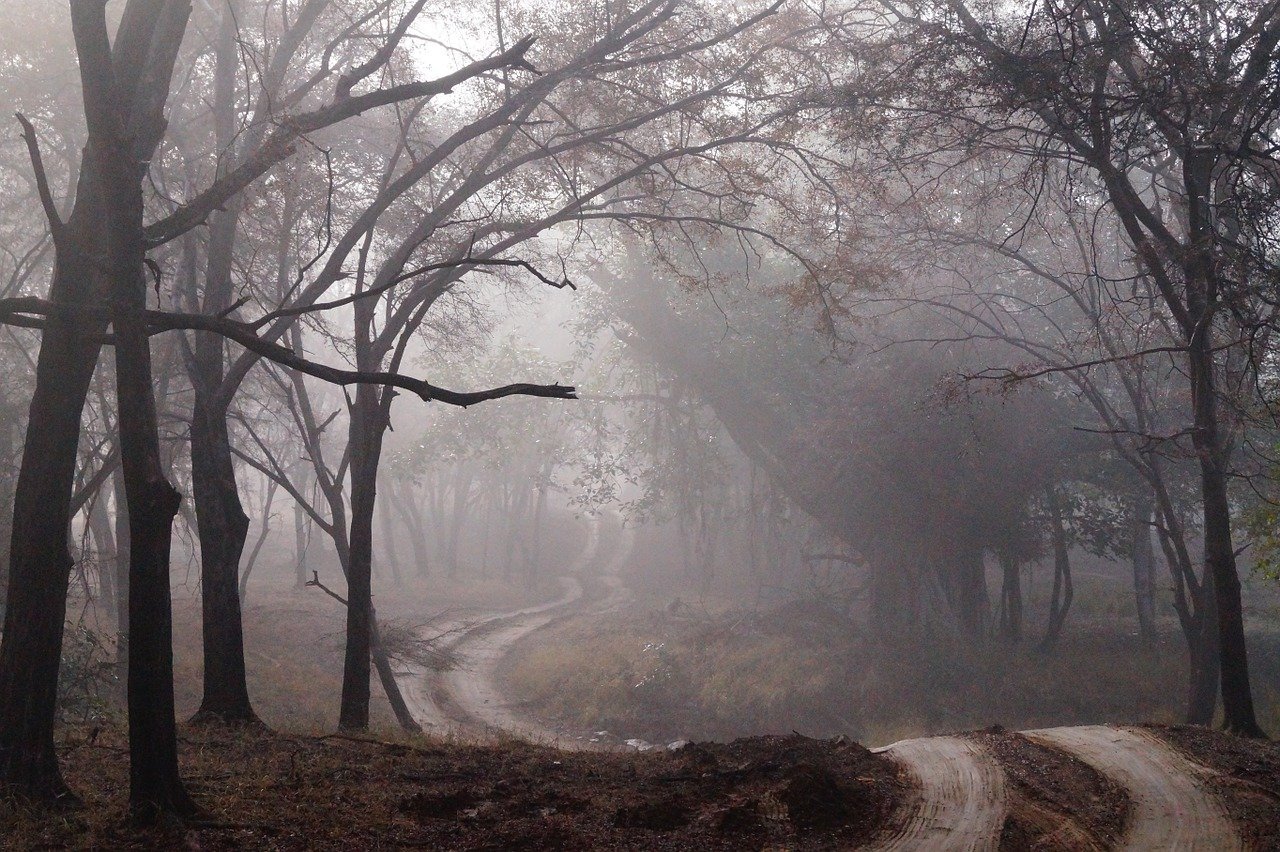 Pfad durch den Nebel – Die Überarbeitung von »Nebelritter«