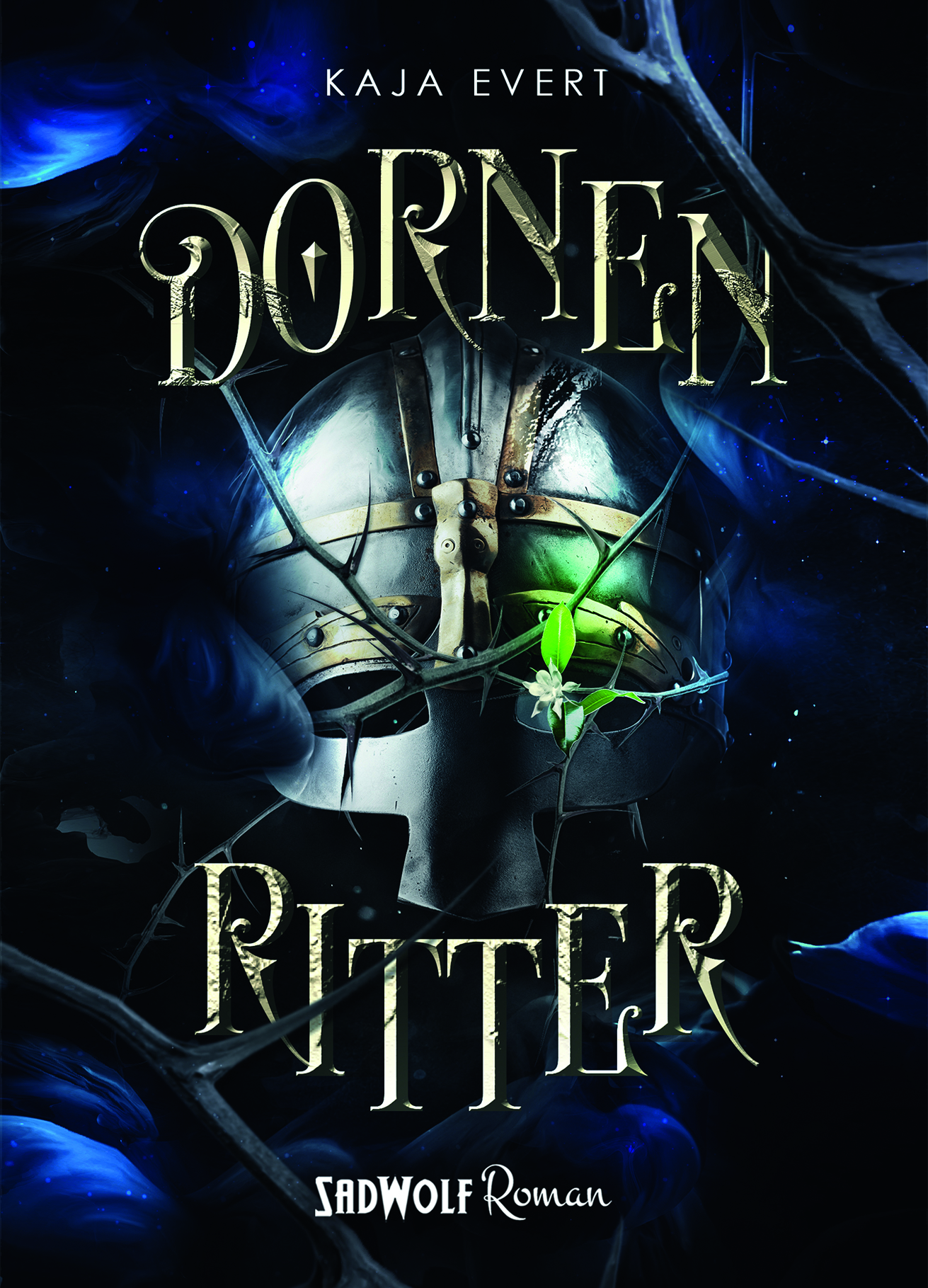 Dornenritter Cover
